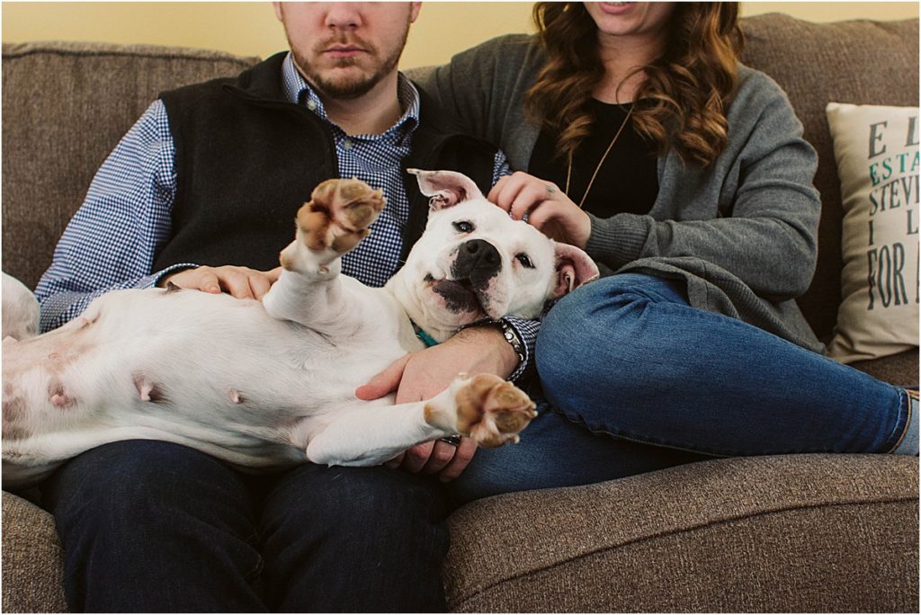 Flint couple Steven & Sarah snuggle up on the couch with their new rescue dog, Rosie.